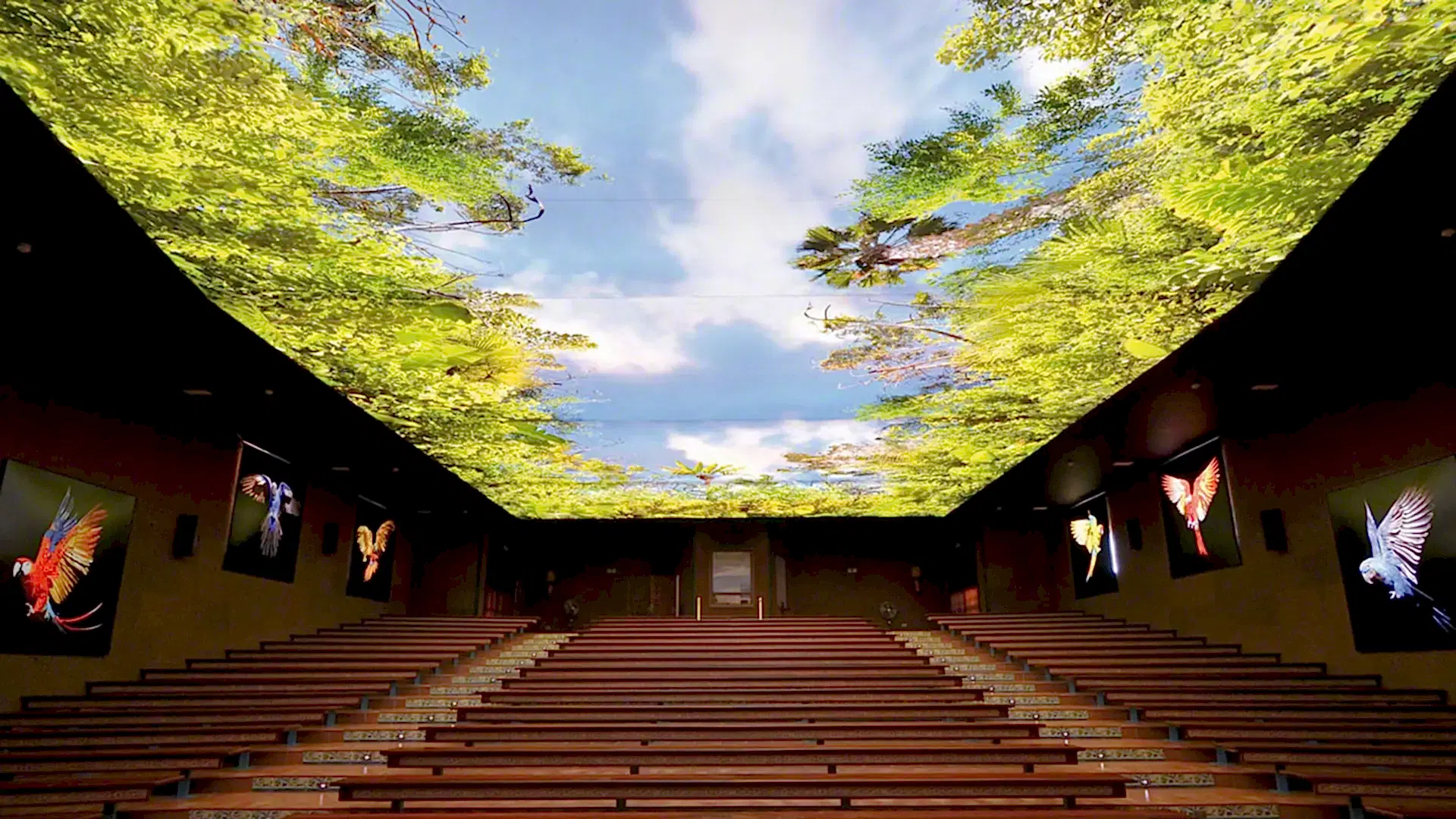 Gergi Tavan - MT LED